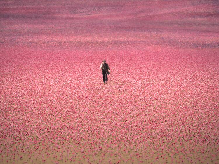 New on Streaming Platforms in April 2026: The Series and Movies You Need to Watch