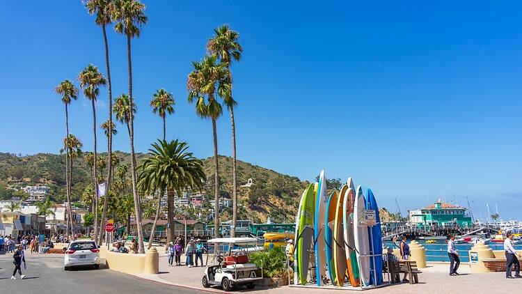 Santa Catalina Island, CA