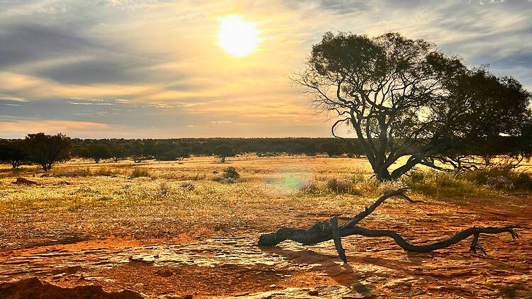 Daggar Hills, WA Australian outback
