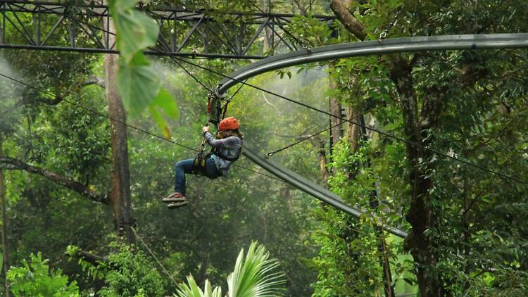Take on the ziplines at Hanuman World