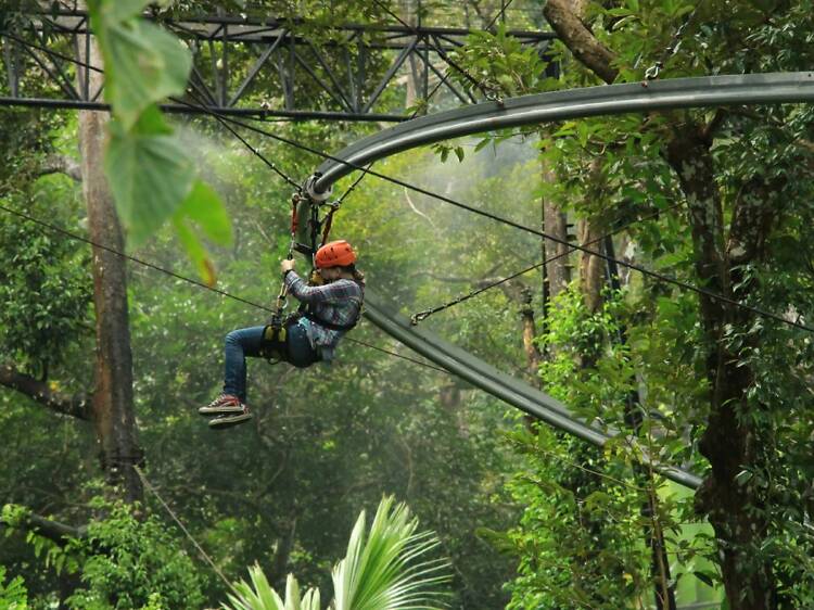 Take on the ziplines at Hanuman World