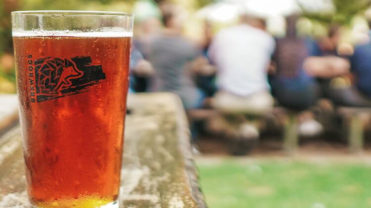 Brewhogs Micro-Brewery