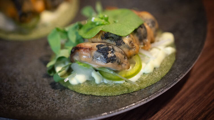 simpukka vihreän tacon päällä tummalla lautasella