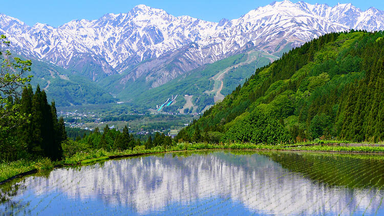 Japanese Alps