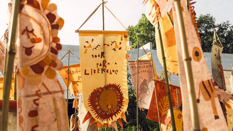 Uma Constituição para todos os seres