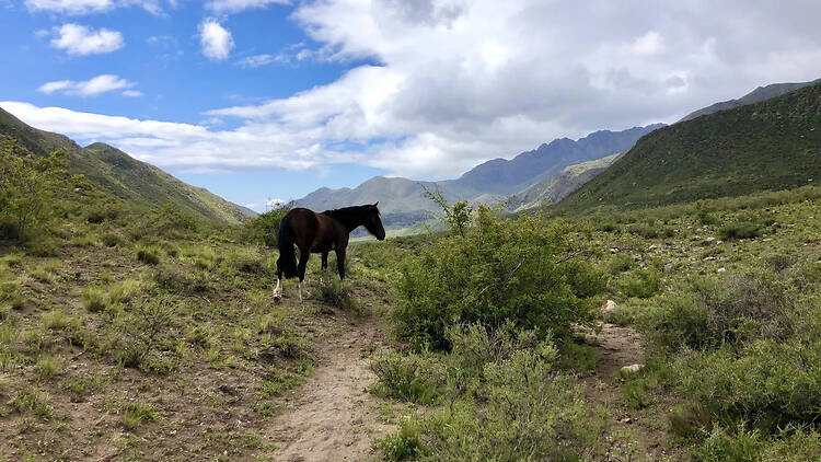 Pampa del Durazno: la joya oculta del Valle de Uco