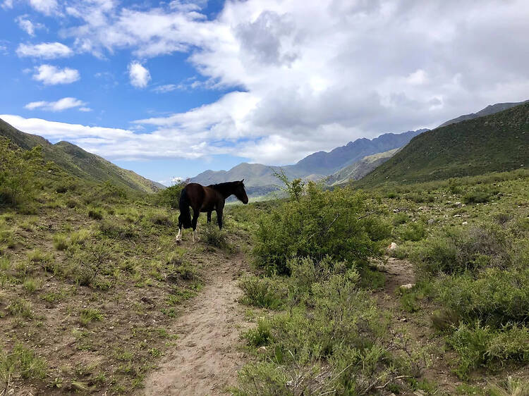 Pampa del Durazno: la joya oculta del Valle de Uco