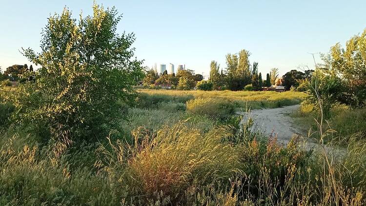 Parque de Montecarmelo