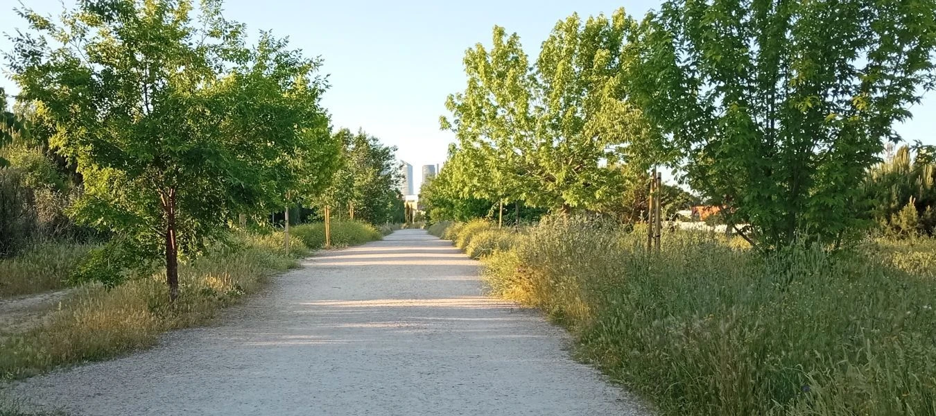 Parque de Montecarmelo