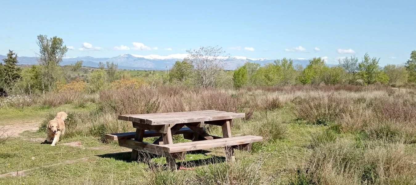 Parque de Montecarmelo