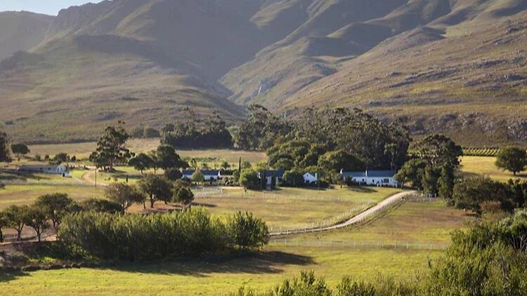 White Water Farm, Stanford