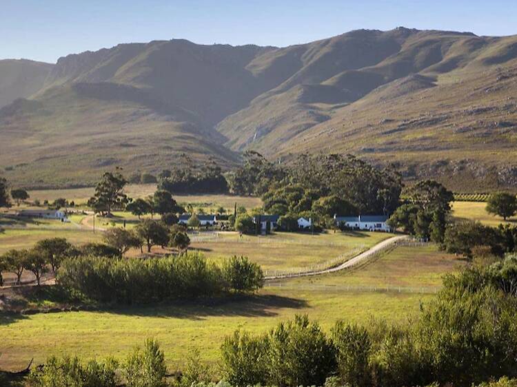 White Water Farm, Stanford