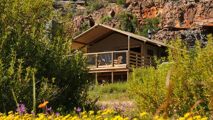 AfriCamps, Western Cape