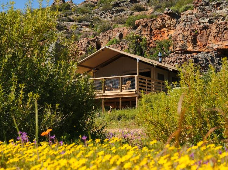 AfriCamps, Western Cape