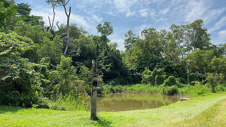 Tampines Eco Green