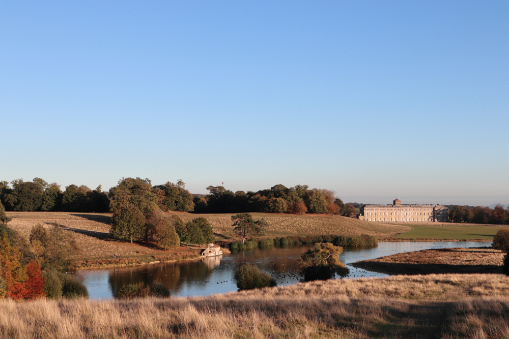 Petworth House and Park, West Sussex