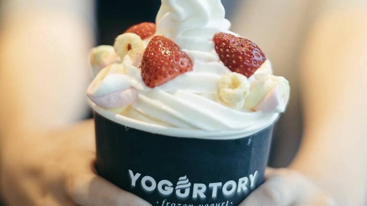 Yogurtory