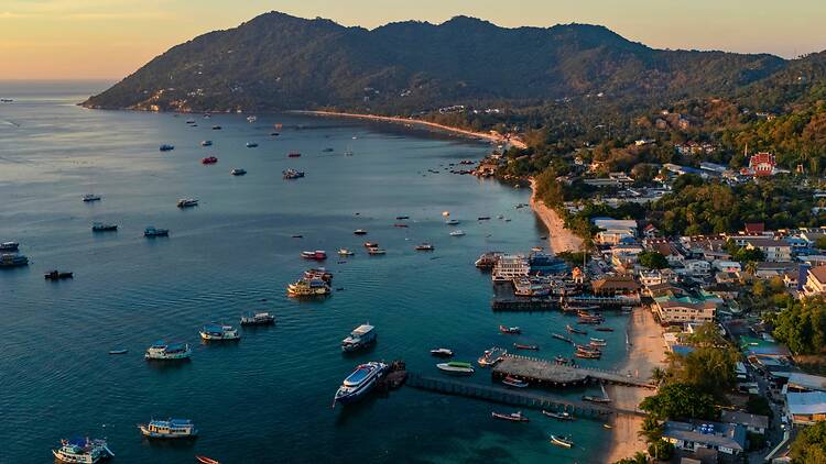 a group of boats floating on top of a body of water