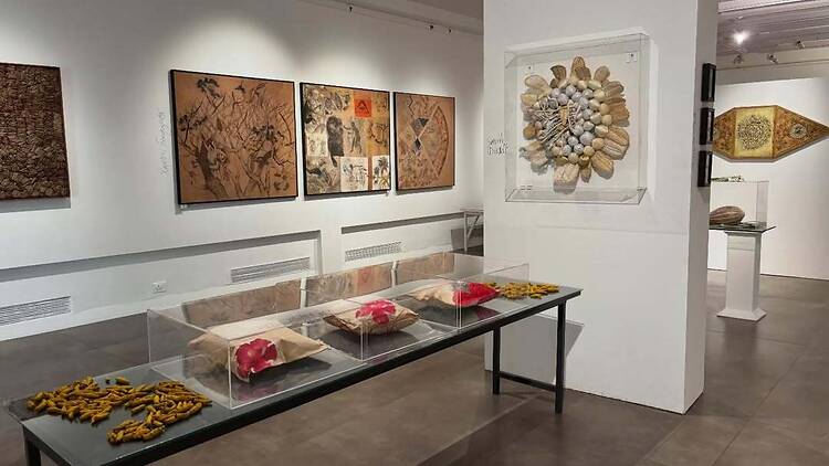 Dance, Music and Drama at Triveni Kala Sangam