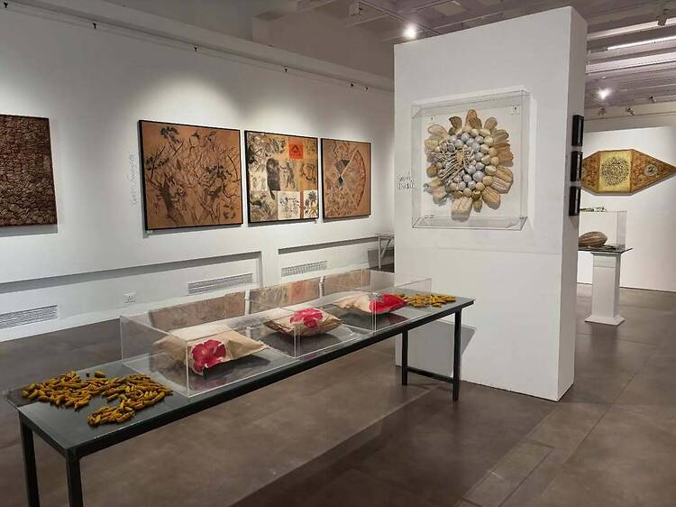 Dance, Music and Drama at Triveni Kala Sangam