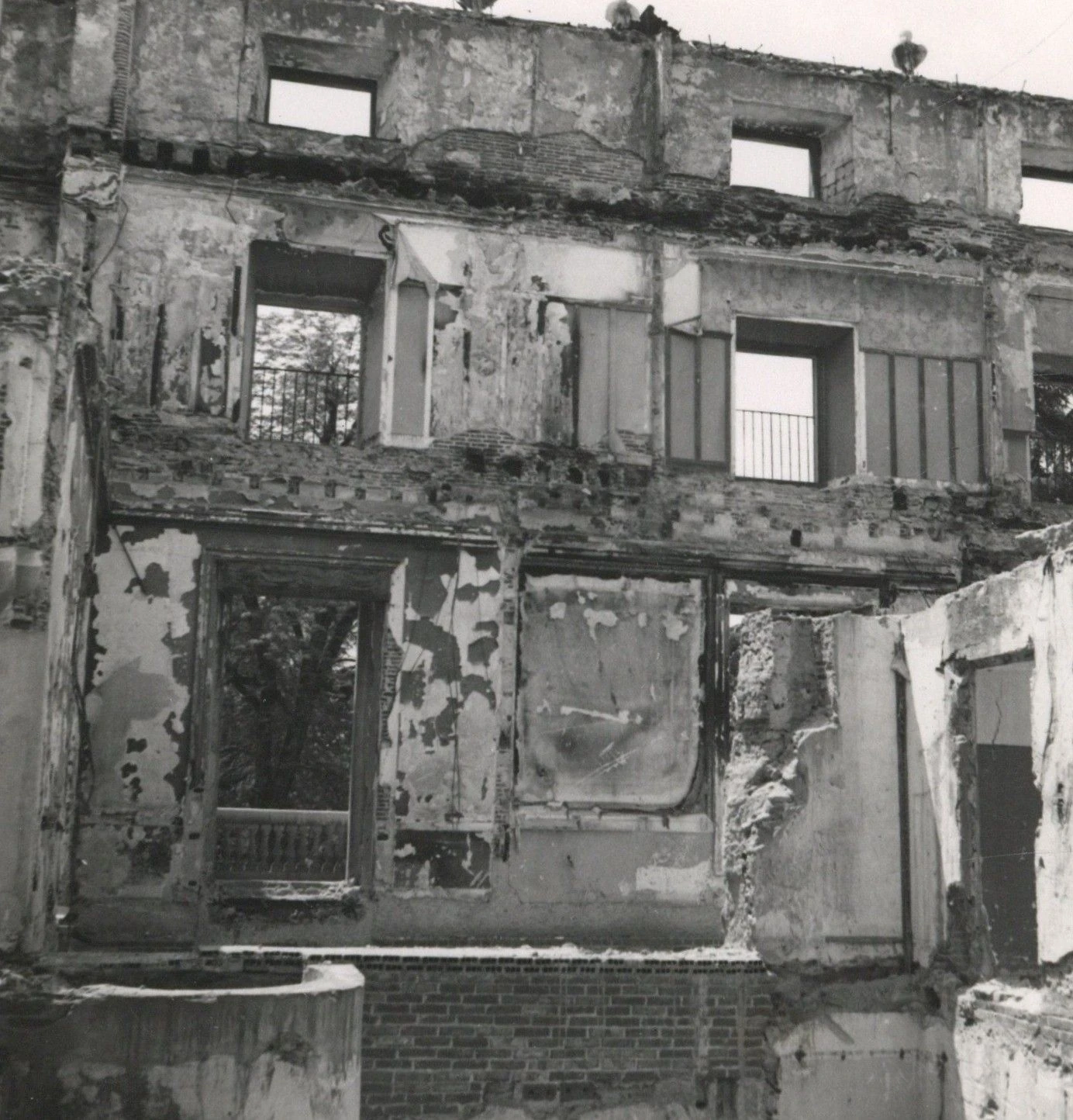 Cayetana. Grande de Espa&ntilde;a