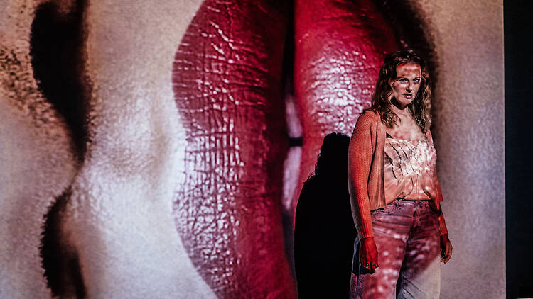 The Menopause Monologues