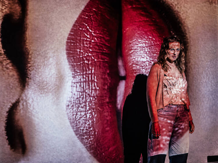 The Menopause Monologues