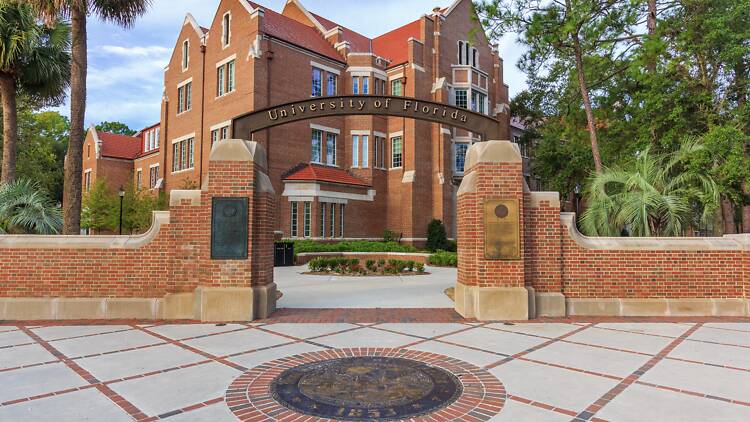 University of Florida