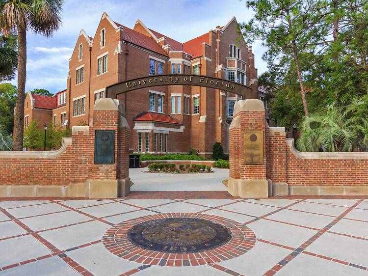 'Forbes' just named the University of Florida a “New Ivy”