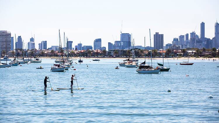paddle boarders in Melbourne