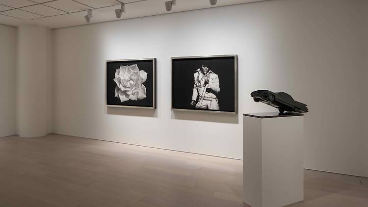 Angels of the Maelstrom