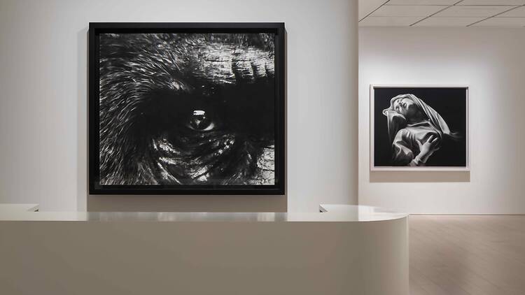 Angels of the Maelstrom