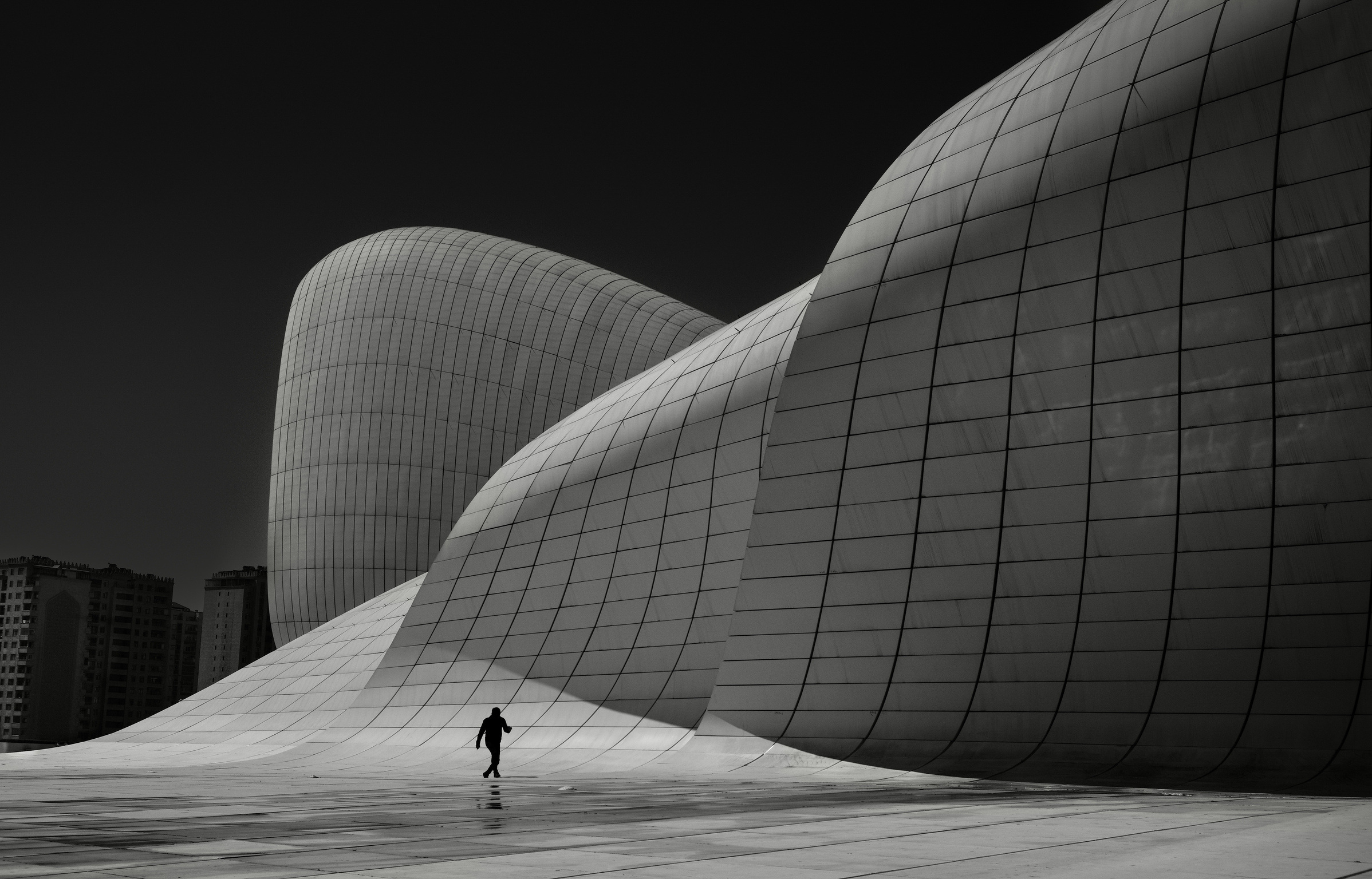 Mark Fearnley: The Art of Solitude