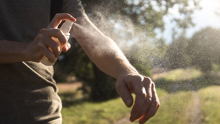 Man applying insect repellent