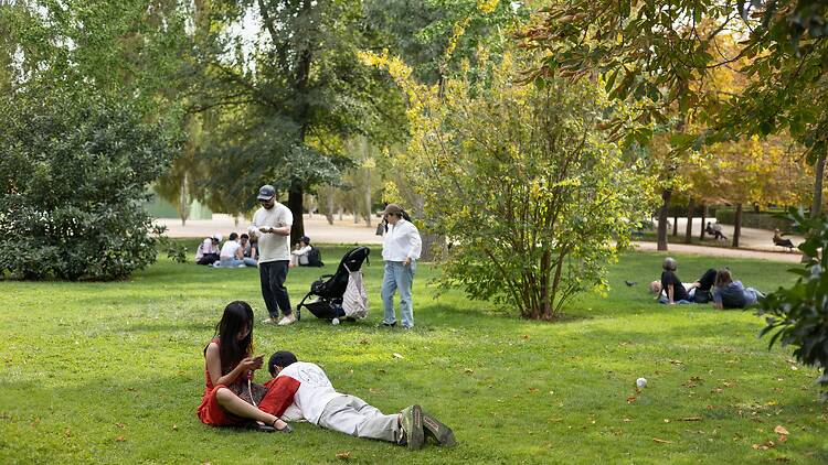 Planes en el parque. Shutterstock