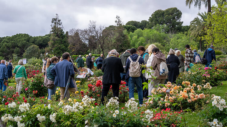 Cervantes, el parc de les meravelles
