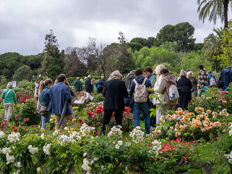 Cervantes, el parc de les meravelles