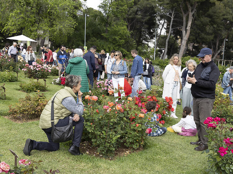 Tot el que cal saber del Concurs de Roses que omplirà d'aroma floral Barcelona aquest maig