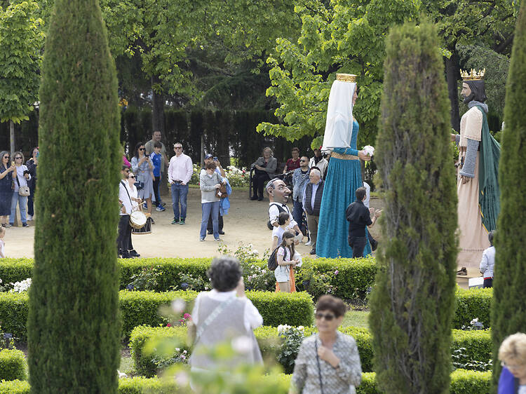 Tantes roses com activitats