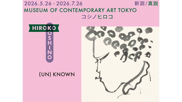 (UN)KNOWN HIROKO KOSHINO―新説/真説 コシノヒロコ―