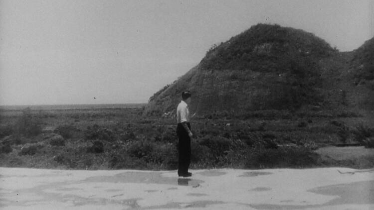 The Afterlight. Charlie Shackleton