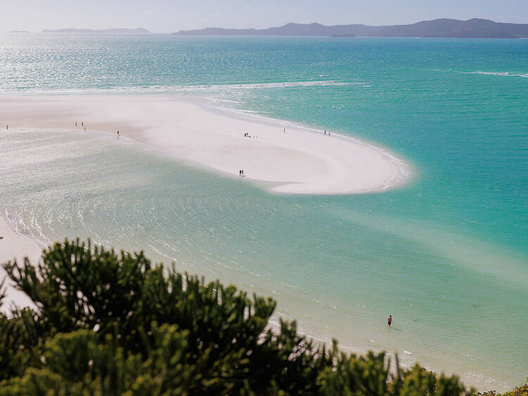 Dream job alert! The Whitsundays could become your new office thanks to this once-in-a-lifetime role
