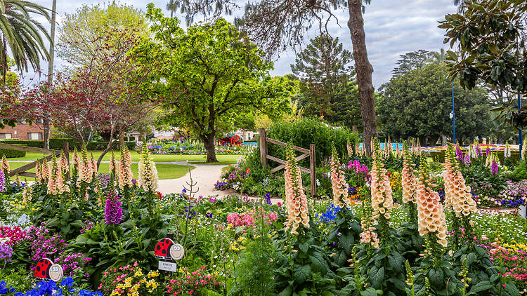 Toowoomba Carnival of Flowers Toowoomba Carnival of Flowers