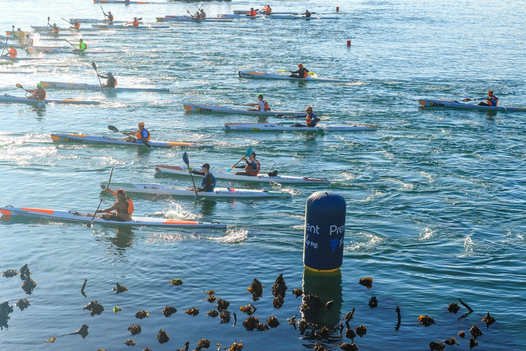 Prescient Freedom Paddle 2026