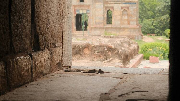 Representational image 