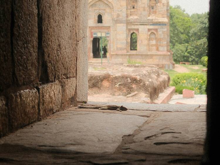 Delhi heatwaves in April 2026? What the IMD predicts for the capital