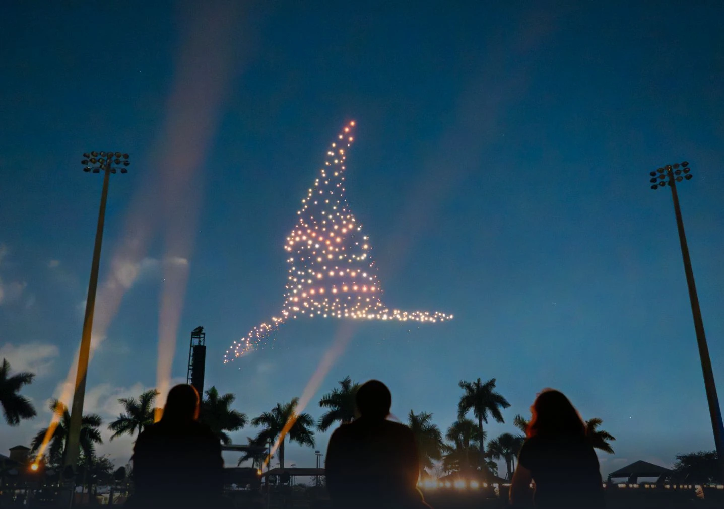 DroneArt Show: Harry Potter. Warner Bros.