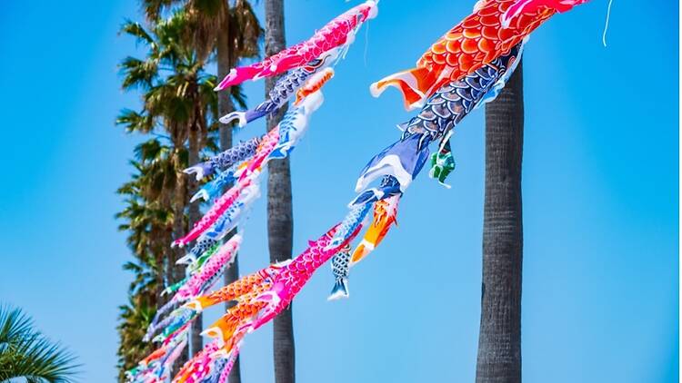 Sennan Seaside Koinobori