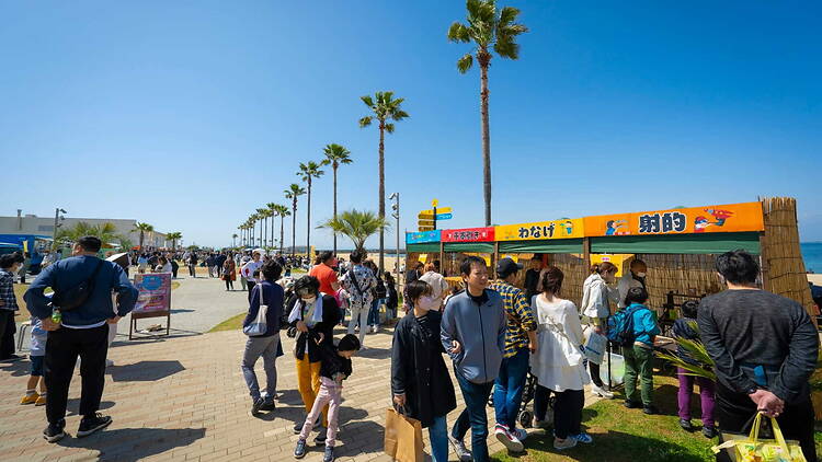 Sennan Seaside Koinobori