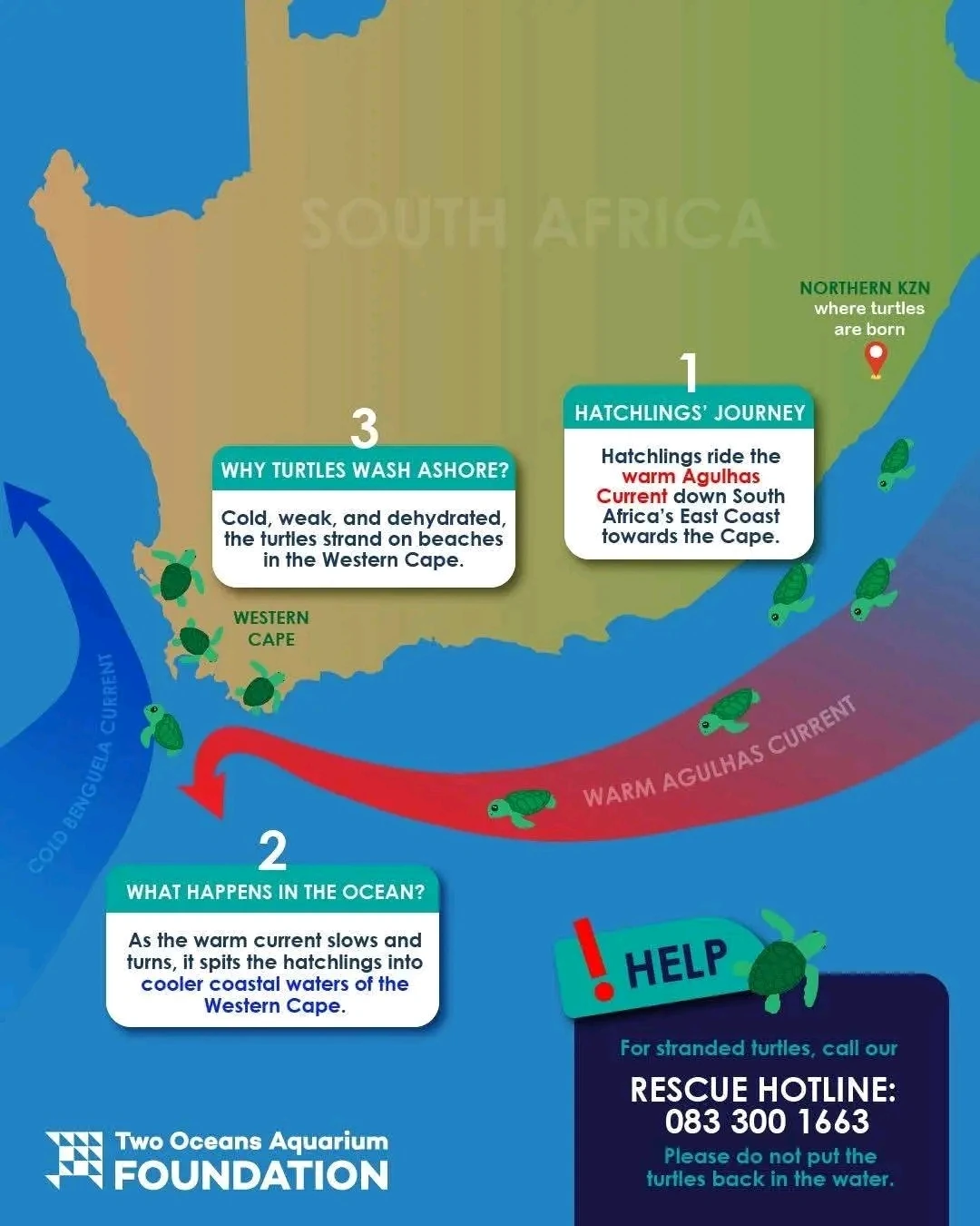 Turtle Conservation Centre / Two Oceans Aquarium Foundation